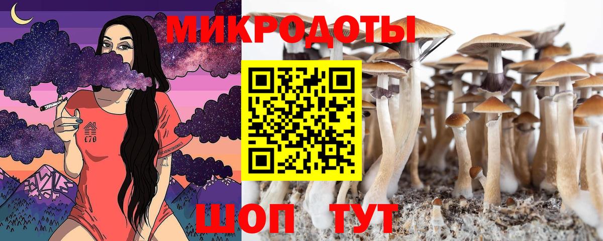 Новоуральск  Псилоцибиновые грибы прущие грибы  Вход с VPN  Галлюциногенные грибы мицелий 